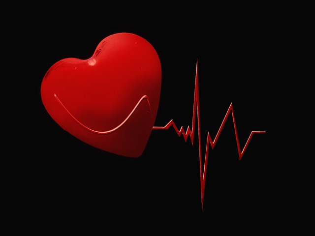 srdeční křivka