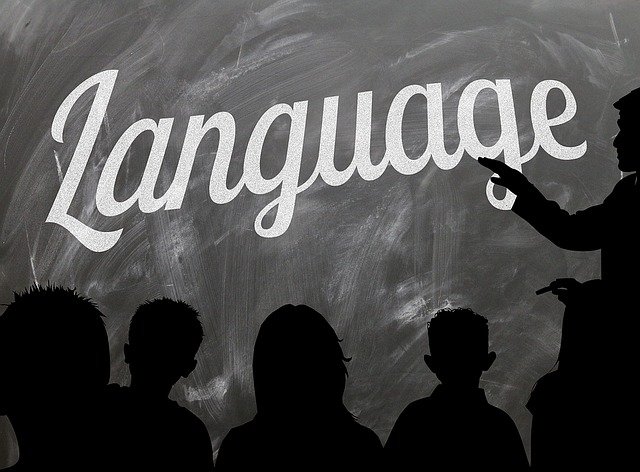 výuka jazyků